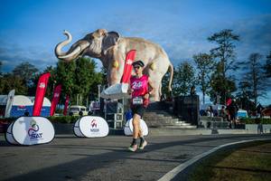 BIB: 
                            <button type="button" onclick="openModal(26541675)" class="btn btn-primary btn-sm float-right btn-popup" data-toggle="modal" data-target=".modal-high-quality">
                        <i class="fas fa-shopping-cart"></i> Add to Cart
                    </button>
                                            <button type="button" onclick="isThisMe(26541675, true)" class="btn btn-success btn-sm float-right btn-popup btn-isme hidden" data-toggle="tooltip" data-placement="bottom" title="นี่คือรูปของคุณใช่ไหม คลิกที่นี่เพื่อเอาเข้าอัลบั้ม">
                        <i class="fas fa-plus"></i> Add to album
                    </button>
                    <button type="button" onclick="isThisMe(26541675, false)" class="btn btn-warning btn-sm float-right btn-popup btn-isnotme hidden">
                        <i class="fas fa-ban"></i> Remove from album
                    </button>